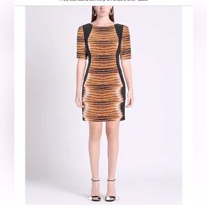 60. Rebecca Minkoff Tiger Pattern Mini Dress 100% Silk